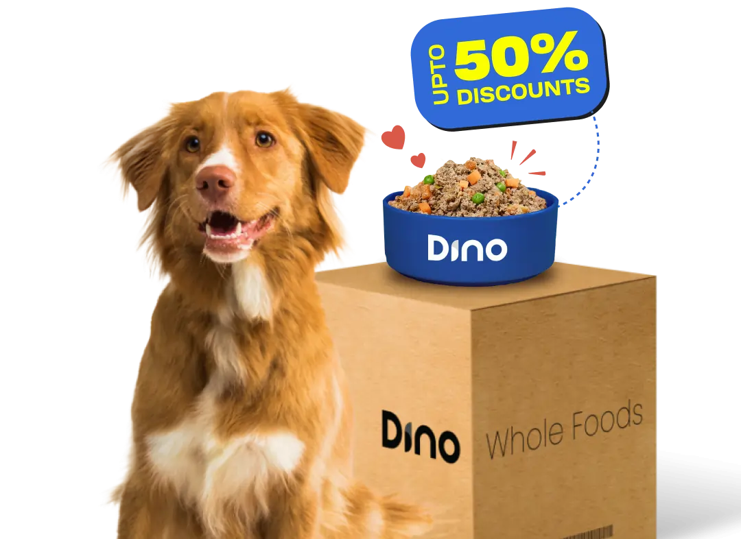 subscription benefits