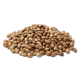 Hemp Seeds